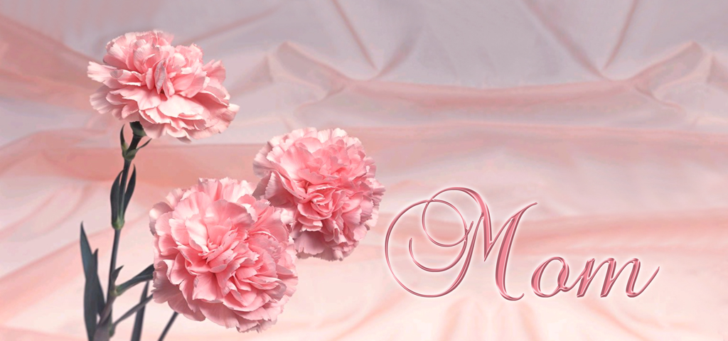 Pink Carnations (mom) PROOF